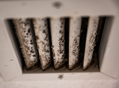 How to Have a Mold-Free HVAC System