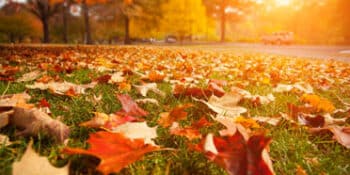 Fall AC Maintenance