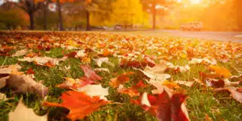 Fall AC Maintenance