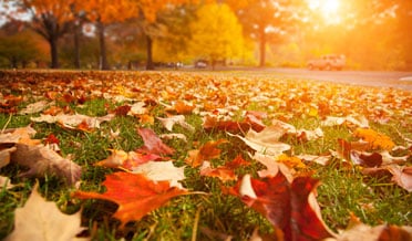 Fall AC Maintenance
